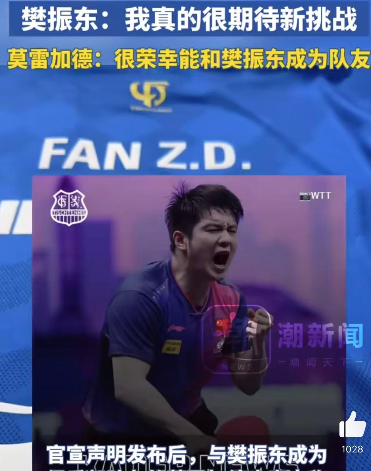 包含瑞典乒乓球队绝地反击中国乒乓球队，樊振东制霸全场的词条