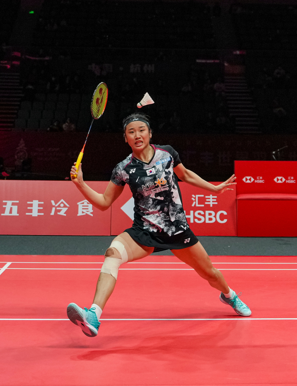 日本羽毛球队爆冷韩国羽毛球队,戴资颖高光表现的简单介绍 日本羽毛球队爆冷韩国羽毛球队,戴资颖高光表现的简单介绍