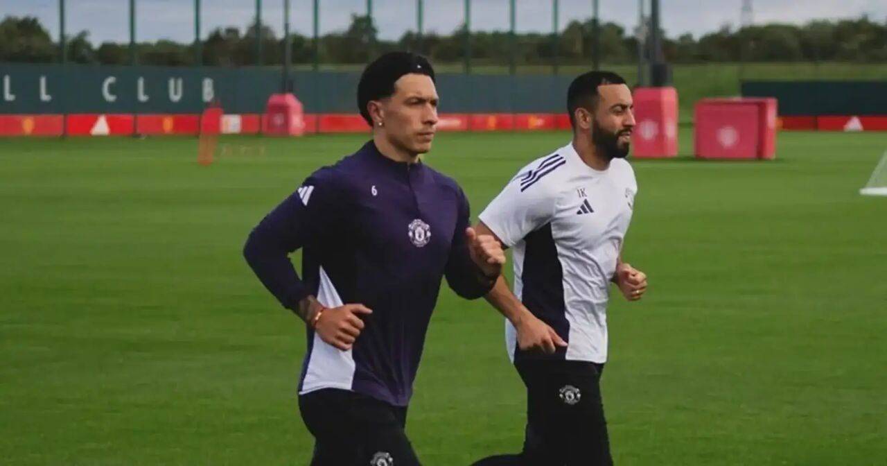 球员伤愈复出，助球队重返比赛巅峰！的简单介绍