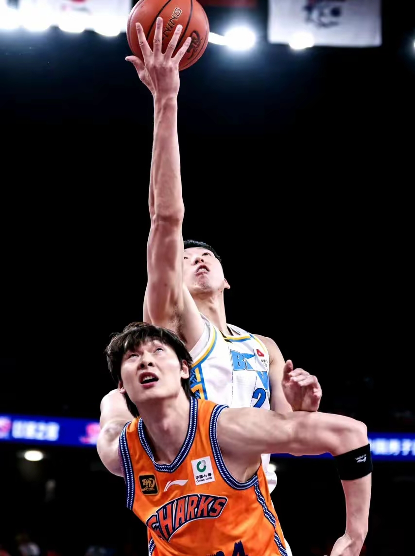 上海男篮击败对手，全队球员表现出色