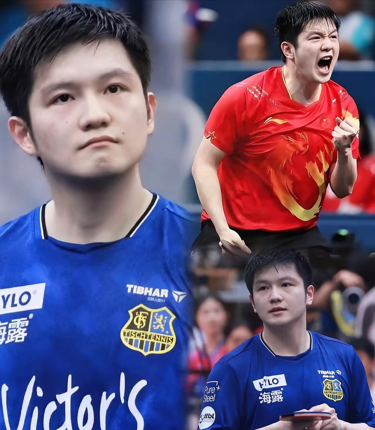 英格兰队完胜德国队,樊振东带队取胜 英格兰队完胜德国队,樊振东带队取胜