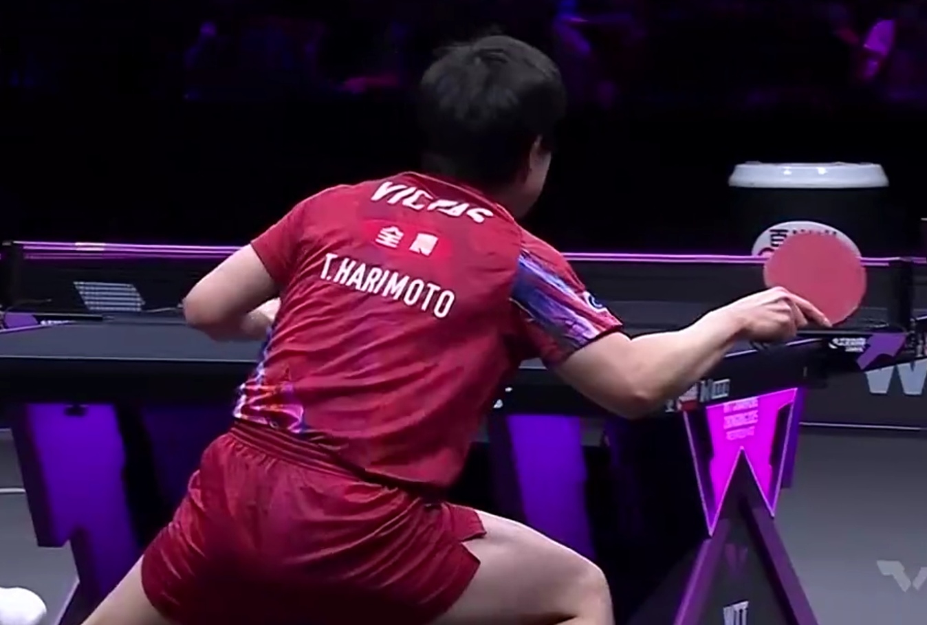 关于英格兰队险胜中国队，张本智和惊艳四座的信息