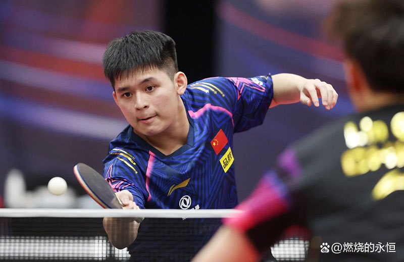 关于瑞典队力克波兰队，波尔高光表现的信息