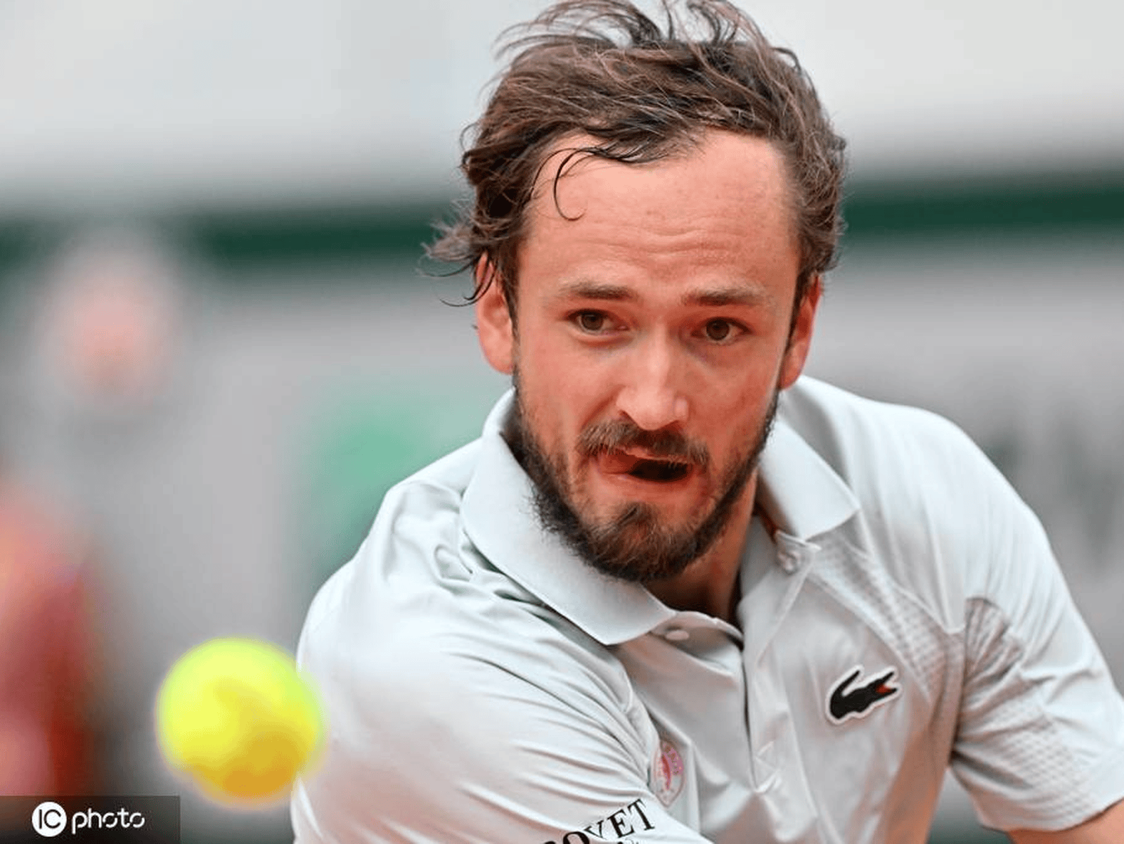 包含法网绝杀拉沃尔杯，梅德韦杰夫惊艳四座的词条