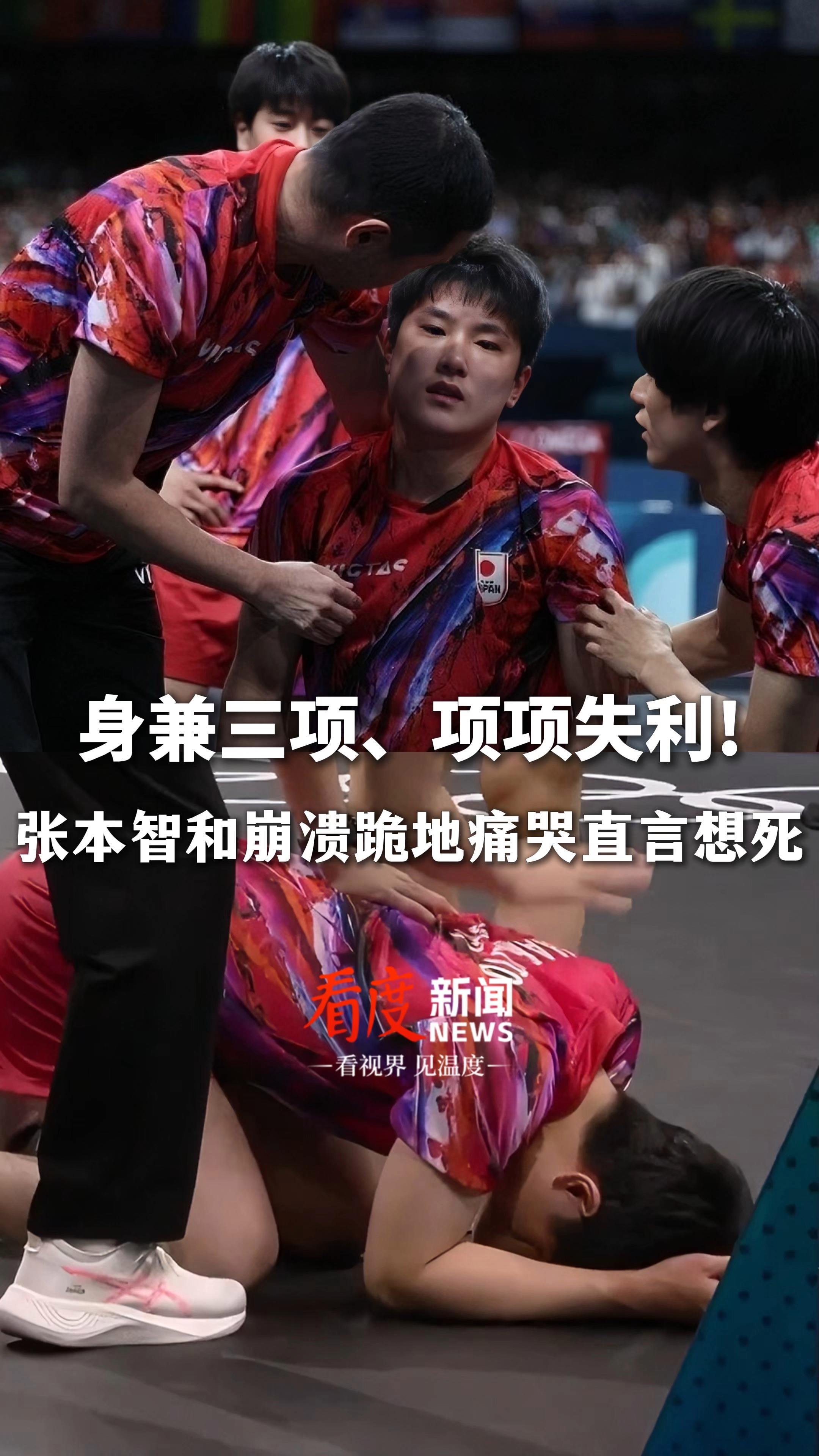 波兰队绝杀中国队，张本智和扛起全队的简单介绍